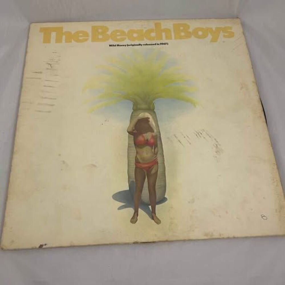 Beach Boys Wild Honey and 2025 album